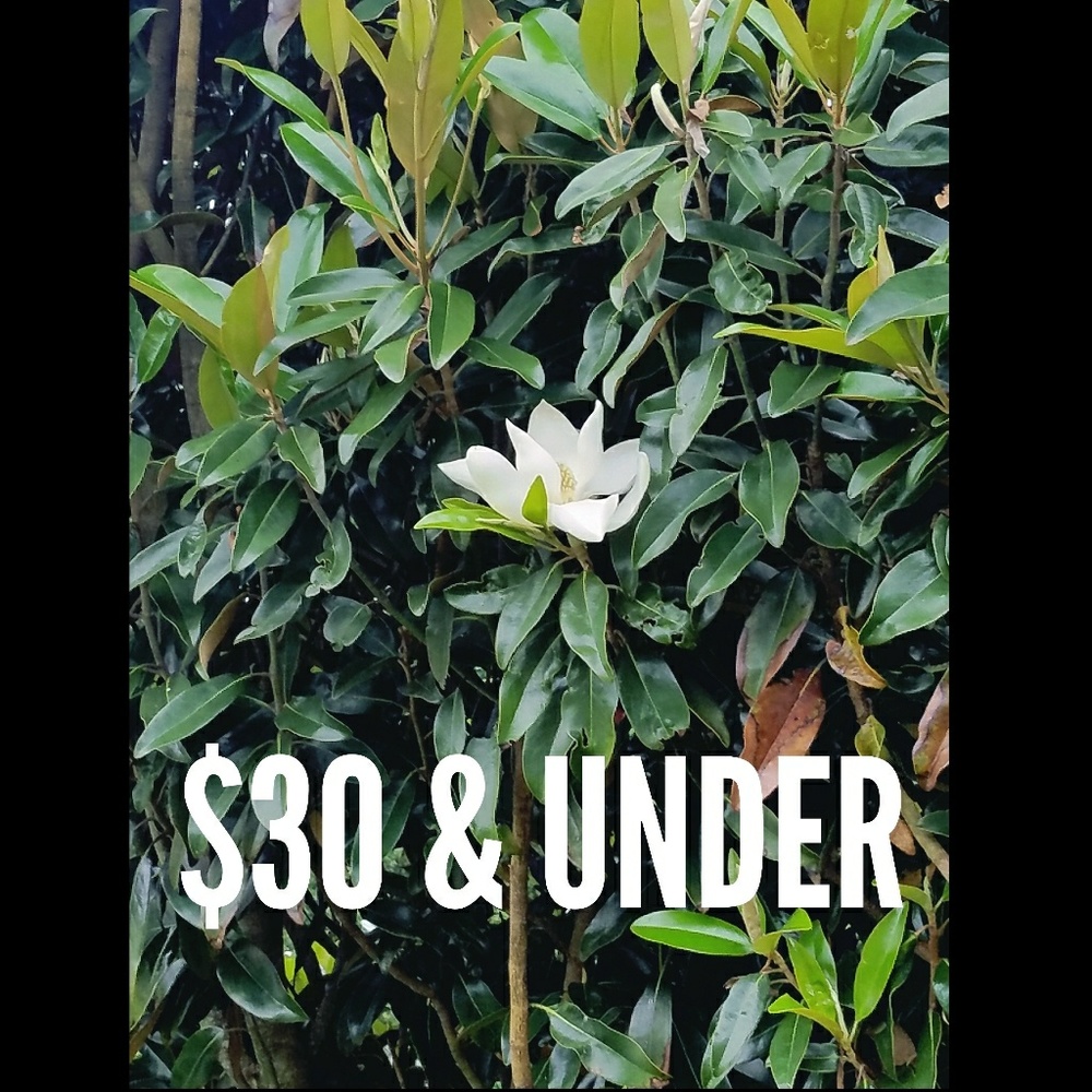 $30 & UNDER